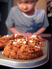 Moist Pumpkin Bran Muffins Ryan