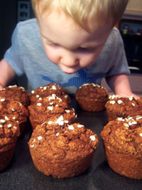 Moist Pumpkin Bran Muffins Ryan 2