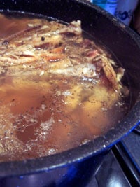 Finished turkey stock