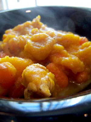 Butternut Carrot Chicken Soup/Stew