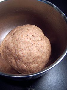 Whole Wheat Pizza Dough - rise 1
