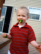 Veggie Kabobs Ryan with broccoli