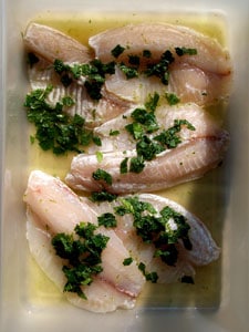 Mojito Tilapia marinade