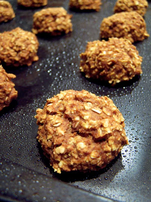 Experimental Pumpkin Oatmeal Bites