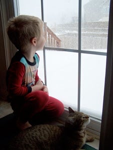 Chocolate Cookie Crisps  - the snow! 