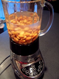 almonds in blender