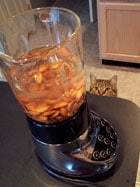 making almond milk cat watching