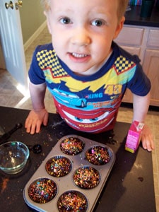 Whole Wheat Chocolate Muffins with Added Protein (and Sprinkles!) - being a goof