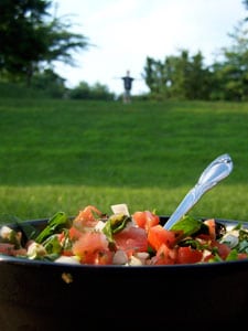 Tomato Spinach Salsa - clear