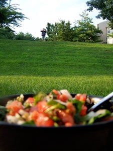 Tomato Spinach Salsa - blurry