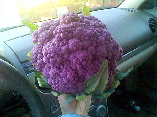 purple cauliflower
