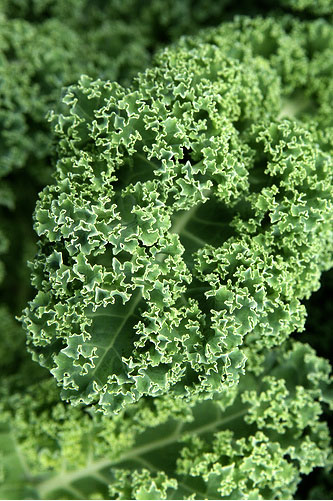 Kale