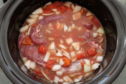Simple Slow Cooker Pork Loin - before