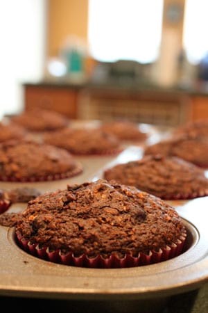 Double Chocolate BlueBran Muffins 2