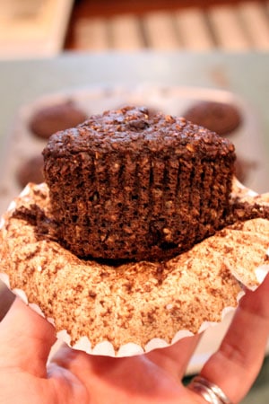Double Chocolate BlueBran Muffins