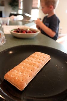 Grilled Chocolate and Cherries - the thin