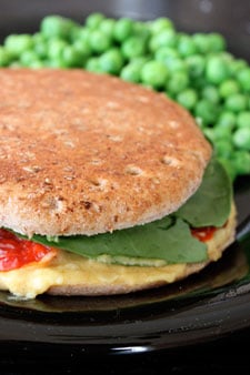Grilled Hummus and Feta Sandwich with Sun-Dried Tomatoes and Baby Spinach - close up