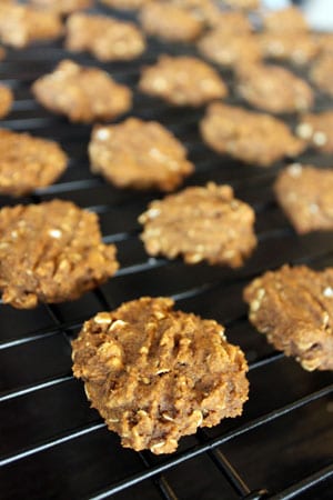 Vegan Pumpkin Oatmeal Cookies