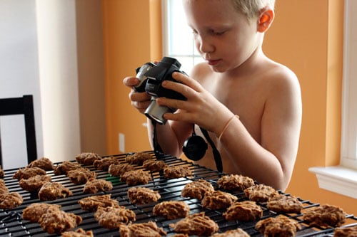 Vegan Pumpkin Oatmeal Cookies - taking pictures