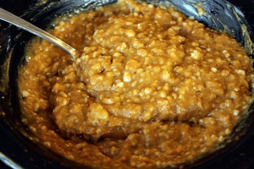 pupkin steel cut oats.