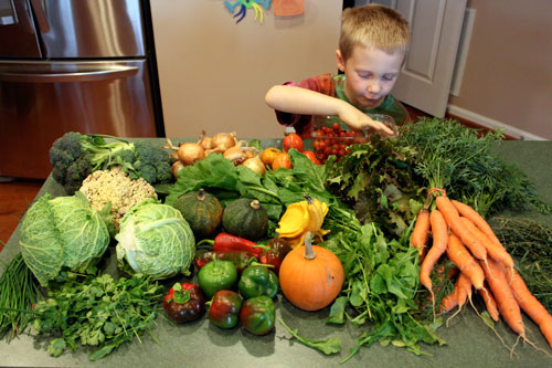 Simple Base Cabbage Soup - the vegetables