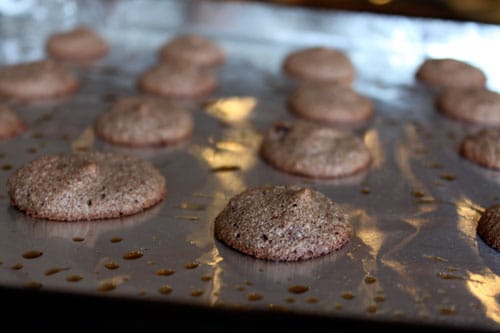 Chocolate Almond Macaron-ish Halves - after baking