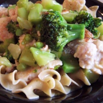 easy turkey noodle skillet with broccoli featured