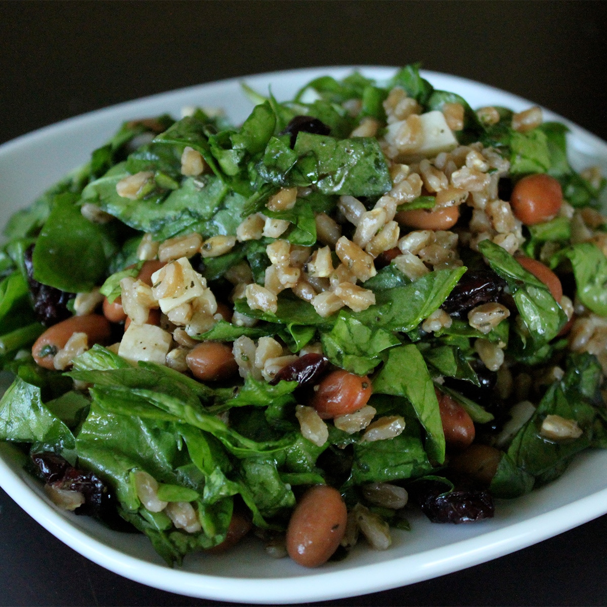 spinach and farro salad featured