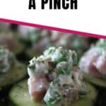 ham salad in a pinch pin