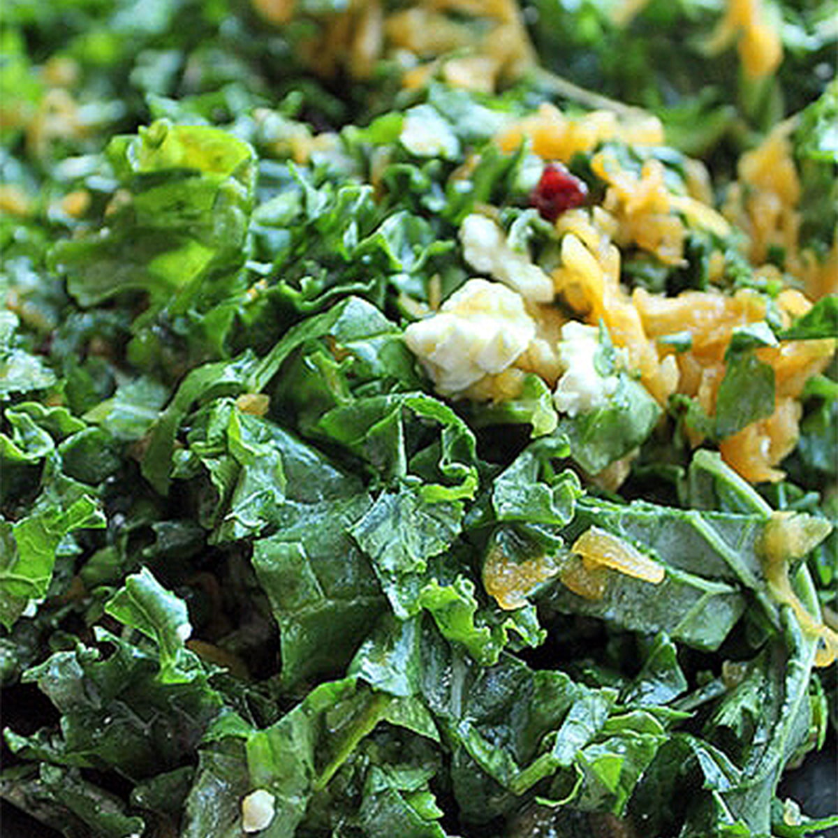kale butternut salad featured