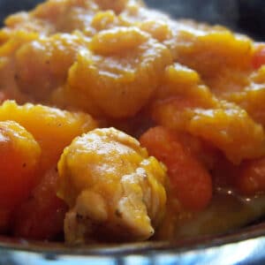 butternut stew featured