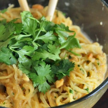 Spicy ‘Noodle’ (aka Spaghetti Squash) Bowl With Peanuts and Cilantro - Portrait