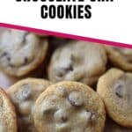 whole wheat chocolate chip cookies pin