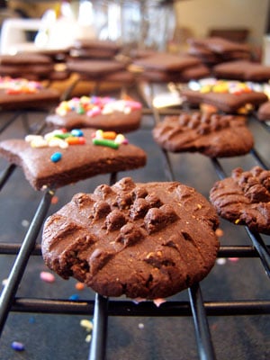Chocolate Cookie Crisps 