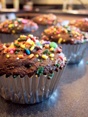 Whole Wheat Chocolate Muffins with Added Protein (and Sprinkles!)