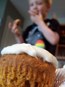 Quick & Light Pumpkin Spice Cupcakes with Cheesecake Frosting - perspective