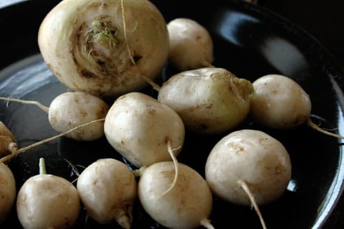 Turnip Parsley Cakes - the turnips