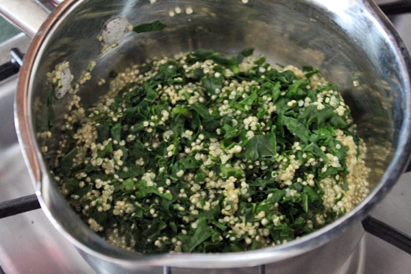 Kale Quinoa Salad with Dried Cranberries and Sunflower Seeds  step 1
