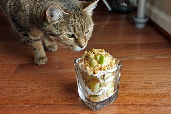 Apple and Walnut Yogurt Parfait with cat 