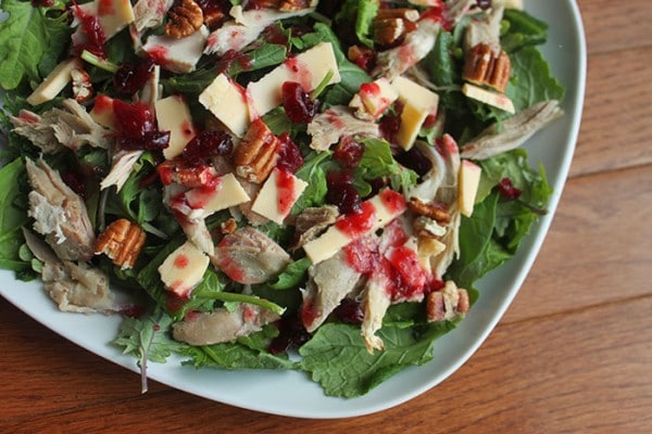 Turkey, Pecan and Gouda Salad dressed with Cranberry Sauce