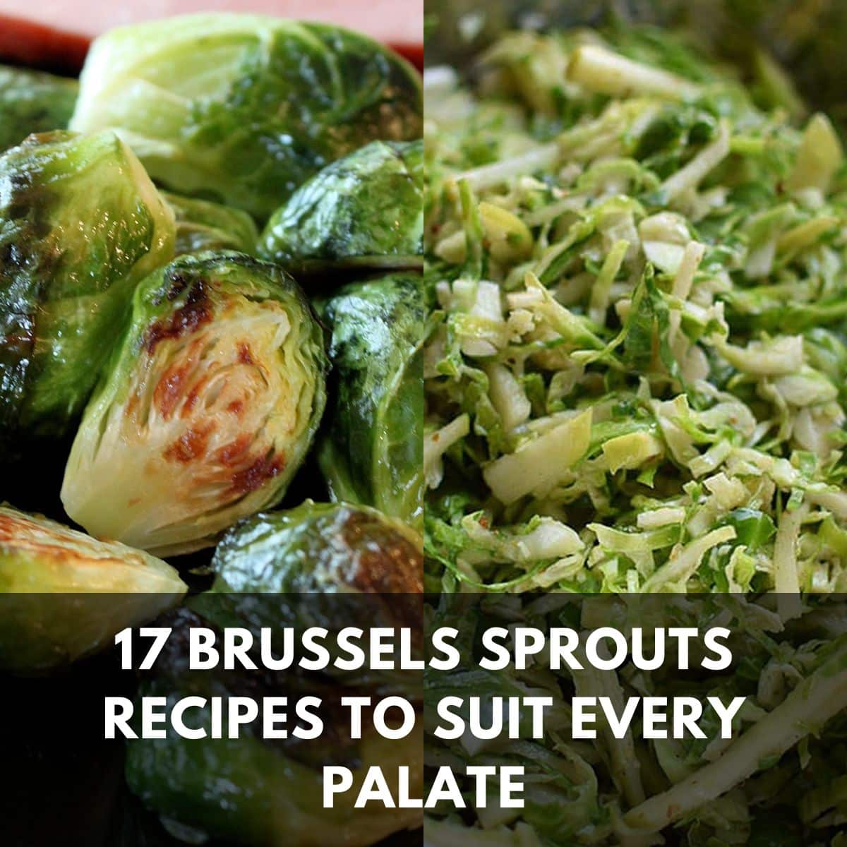 17 brussels sprouts recipes to suit every palate main