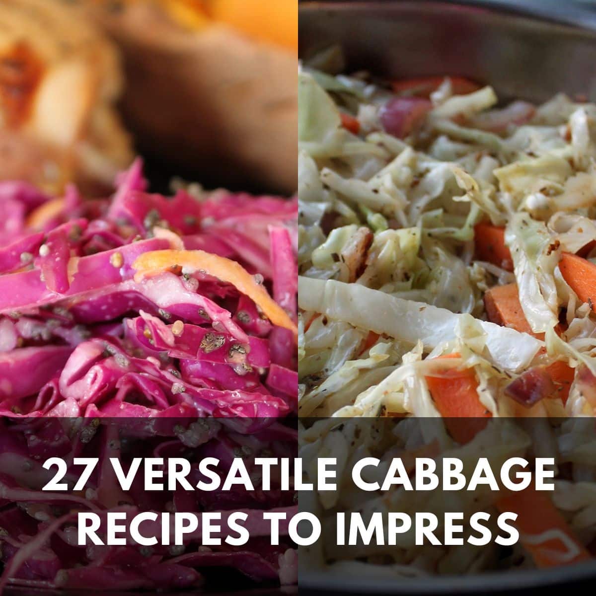 27 versatile cabbage recipes to impress main
