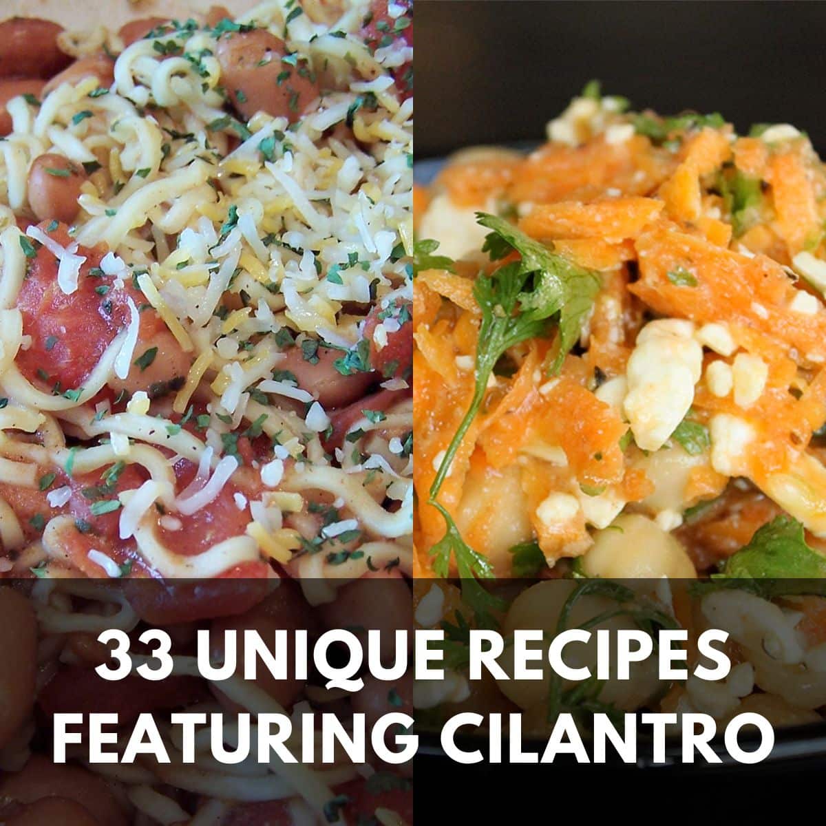 33 unique recipes featuring cilantro main