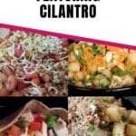 33 unique recipes featuring cilantro pin