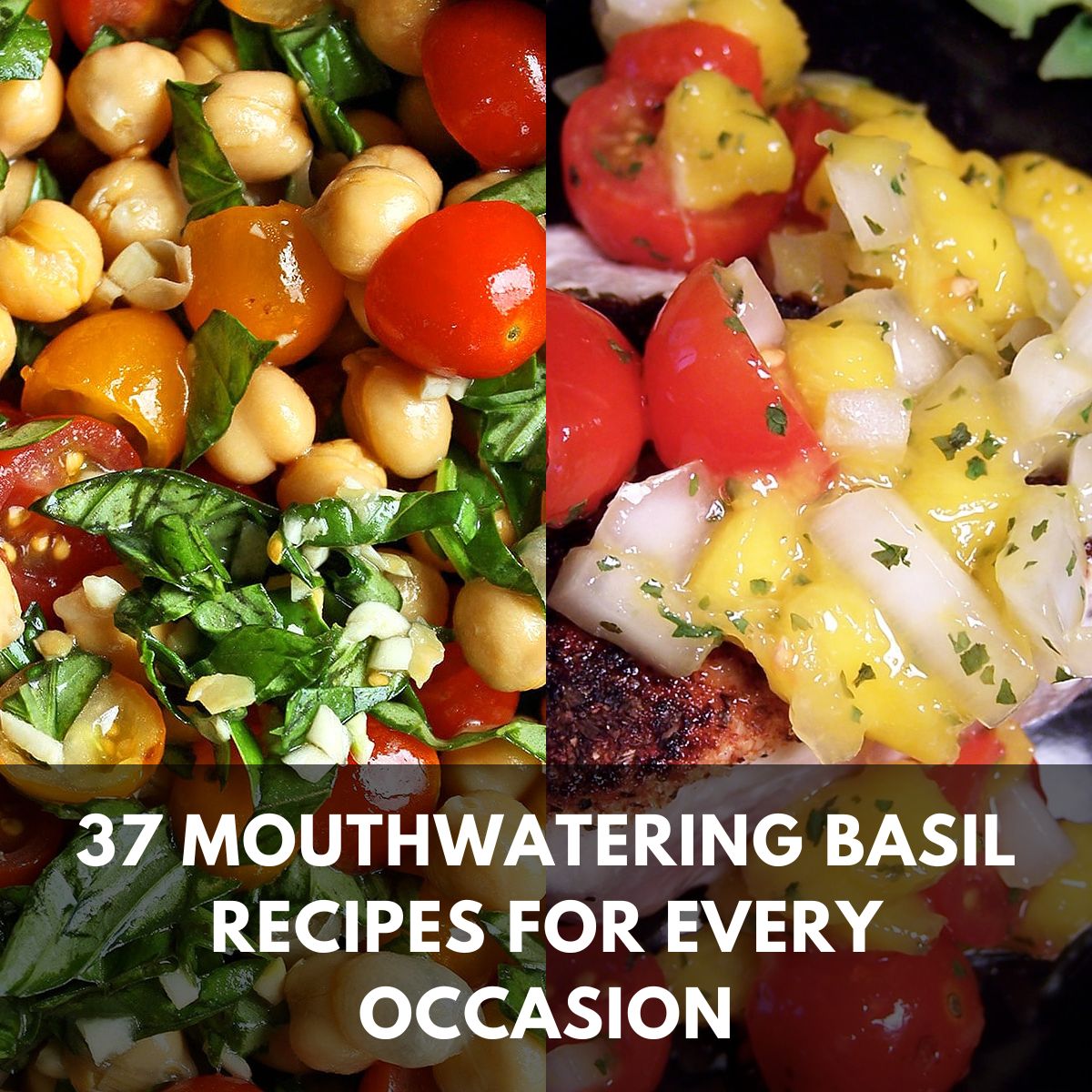 37 mouthwatering basil recipes for every occasion main