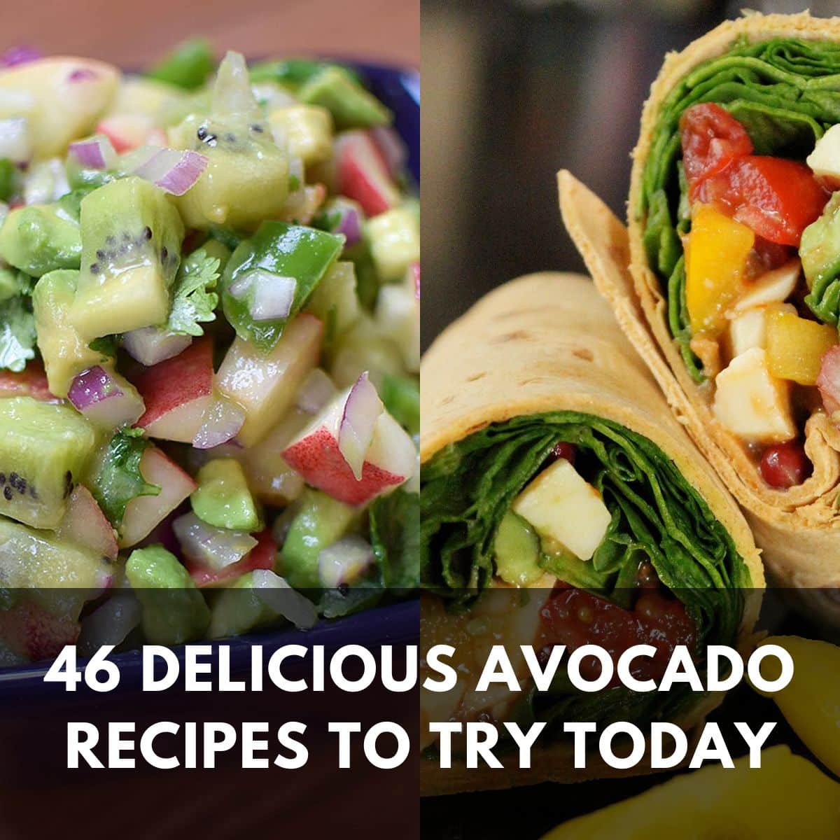 46 delicious avocado recipes to try today main