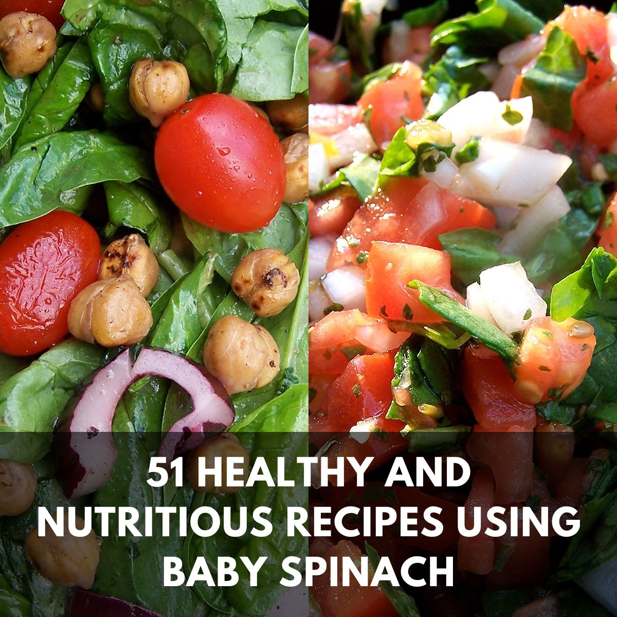 51 healthy and nutritious recipes using baby spinach main